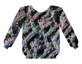 Abotanicity Sweater